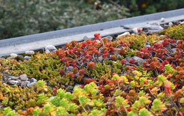 the cost of Tournaig green roof installation